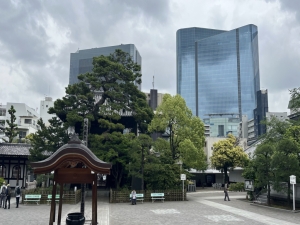 泉岳寺から高輪ゲートウェイシティを望む　※2025年5月撮影