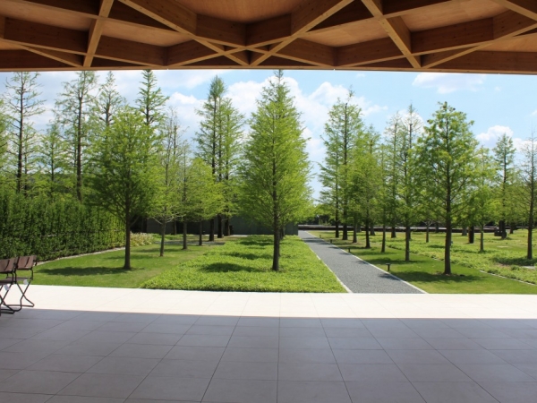 ミュージアムカフェのオープンスペースから眺める景色はどこか非日常。夫婦や一人でゆったり過ごす光景が見られた