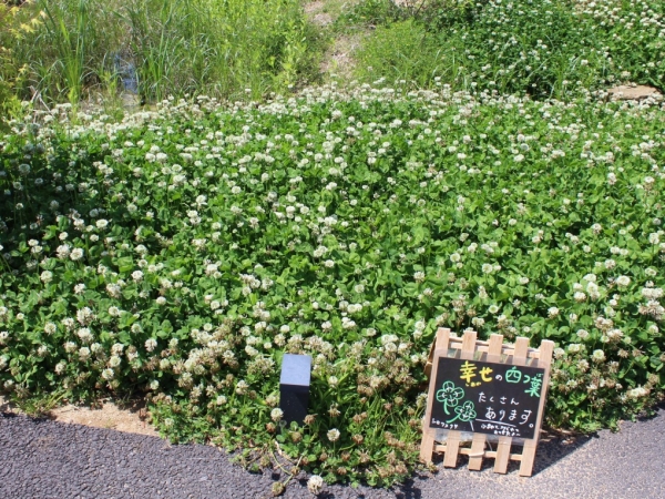 常設展のアイコンとなる巨大なガラスの展示棚「とよたモノ語り」。各面ごとに自然、産業といったテーマがあり、収蔵品はこまめに入れ替わる。展示枠は4面で計400以上にも！
