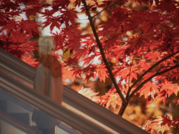 球体デジタルアトリウムを含む低層階の断面図