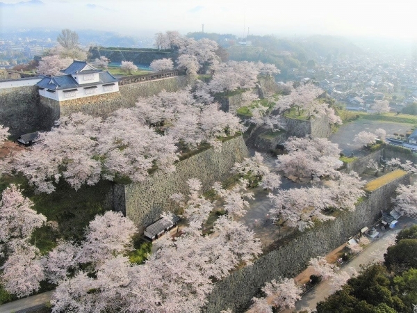 津山城は鶴山城（かくざんじょう）の異名を持つ。明治の廃城令後に建物が解体されたが、高さ約45mにおよぶ巨大な石垣から当時の城の壮大さが分かる。2005年（平成17年）には備中櫓が復元された。鶴山（かくざん）公園として国指定史跡となっており「日本三大平山城」「日本100名城」にも数えられている。また岡山県内屈指の桜の名所であり「日本さくら名所100選」の一つにもなっている（提供：津山市）