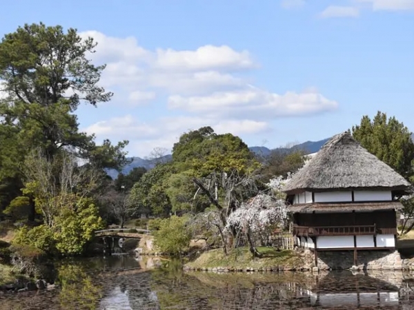 津山城は鶴山城（かくざんじょう）の異名を持つ。明治の廃城令後に建物が解体されたが、高さ約45mにおよぶ巨大な石垣から当時の城の壮大さが分かる。2005年（平成17年）には備中櫓が復元された。鶴山（かくざん）公園として国指定史跡となっており「日本三大平山城」「日本100名城」にも数えられている。また岡山県内屈指の桜の名所であり「日本さくら名所100選」の一つにもなっている（提供：津山市）