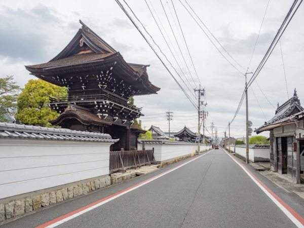 城西重要伝統的建造物群保存地区。出雲街道を中心とした約12haが重伝建に選定された。おもに西部は寺町、東部は商家町だった（提供：津山市）