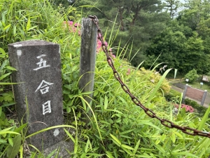 小さな山だが、「今何号目？」数を数えて登るのが楽しい