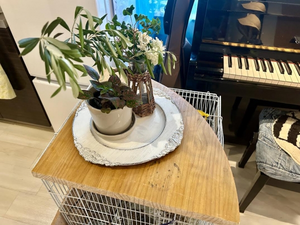 テレビ台の一部が本棚に