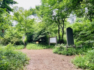 八国山の将軍塚