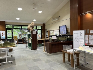センターでは動物の剥製や蚕に触れる体験ができる
