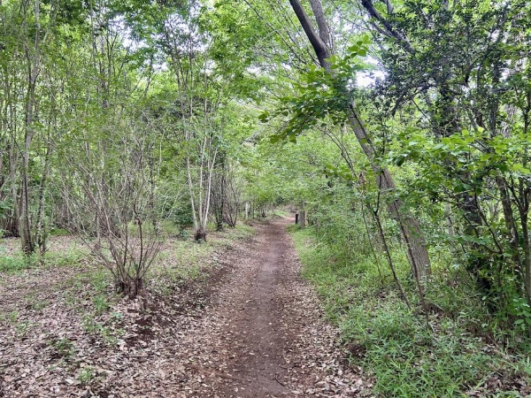 八国山の将軍塚