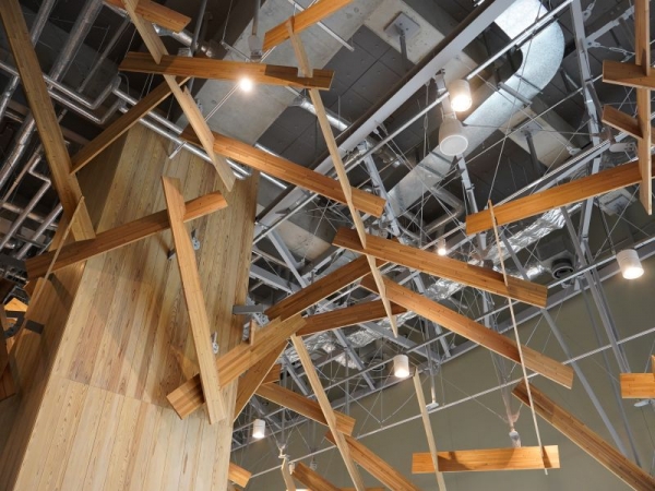 外観にしつらえた“樹形アーチ”は、木材の組み方やせり出し具合などすべて異なり、場所ごとに環境と調和できるように考えられた。2階の「d CAR GATE」と呼ばれるエントランス部分の樹形アーチが最も大きくせり出していて、来場者の高揚感を高めるという思いが込められている。写真は公園の芝生広場に面した部分