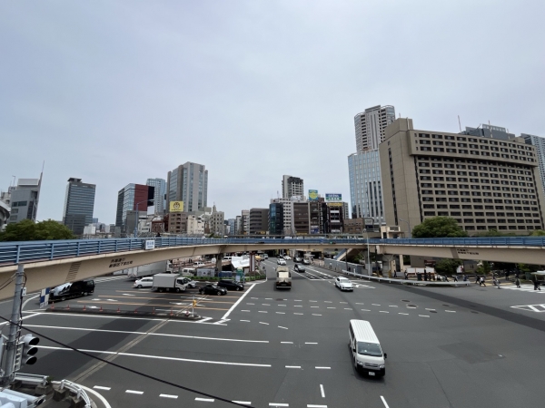 整備計画の対象エリアと“今後まちづくりが想定されるエリア”　※出典：飯田橋駅周辺基盤整備推進会議（2025年5月）「飯田橋駅周辺基盤整備計画（案）」p.ⅳを一部加工