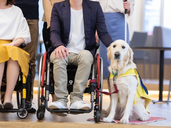 ケース別の相談先　障害者向け