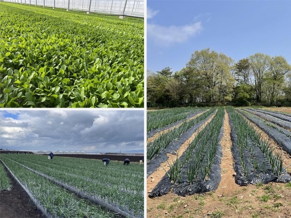 地元生産者が直接売場に持ち込んで販売する「地縁マルシェ」（提供：エブリイ）