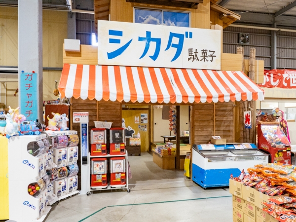 自社農場の様子。写真はトウモロコシ（提供：大町）