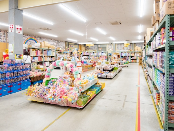 瀬戸内ブルーシャインズ（提供：大町）