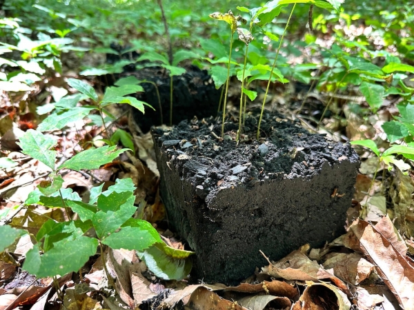 取材日は日曜日だったので子どもも参加していた