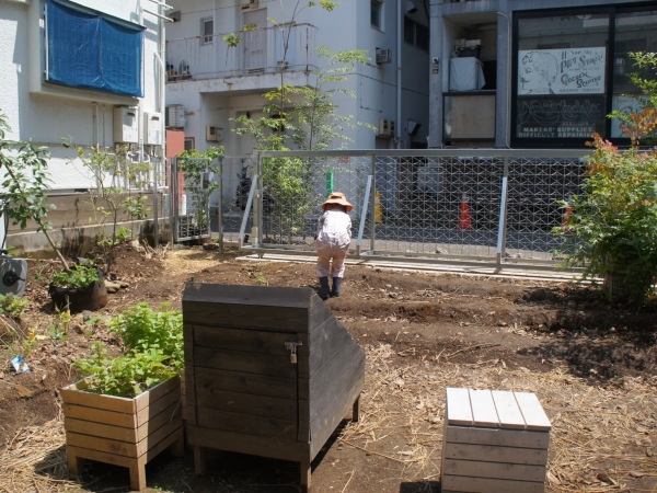 Comorisで生育している木の一部は、北杜や移転前の土地で育てたものを持ってきている