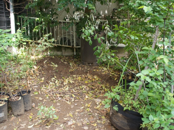 移転前の代々木上原で展開していたComorisの様子