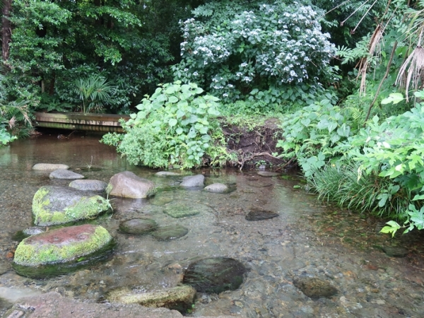 川沿いのウォーキングコースを案内する地図。ペットと一緒にここを散歩するのは楽しい時間になるはず（筆者撮影）