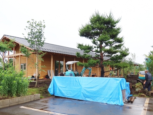 東久留米市界隈には長年続く農家も多く、そこで徐々に相続が発生し始めている。写真は秋田さん宅の庭にある巨樹（筆者撮影）