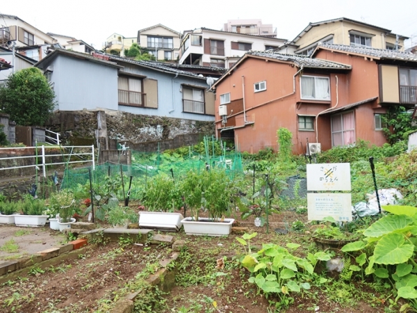 さかのうえんのひとつ、中新町ヒルズで平山さん（右）と一緒に活動をする溝上由紀さん（写真提供/長崎都市・景観研究所　以下null）