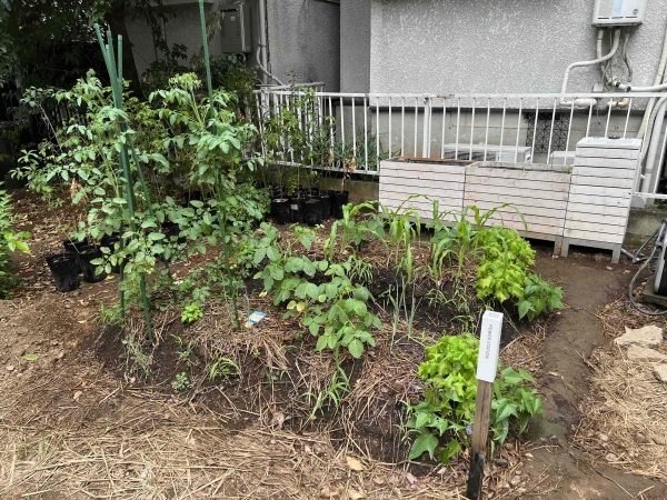 Comorisの入口には手づくりの杭が打ってある