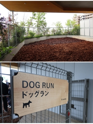 リビングからはバルコニーの植栽が楽しめるようになっている（写真提供/bonvoyage）