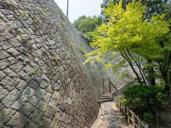 主屋の広縁には天井に明かり取りが設けられている。ガラスは明治時代のものがそのまま残っており、よく見るとガラス表面がわずかに波打っており、当時のガラス製造の技術が分かる