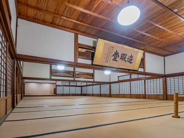 旧野﨑家住宅から約100m東に所在する別邸には、かつて大宴会堂・集会場として使用された「迨暇堂」がある。迨暇堂は登録有形文化財になっている