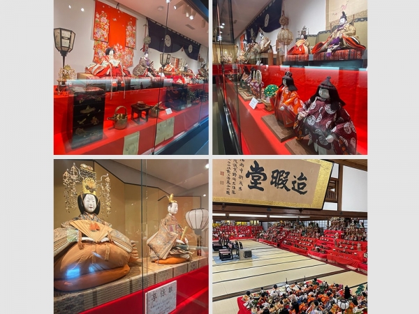 旧野﨑家住宅から約100m東に所在する別邸には、かつて大宴会堂・集会場として使用された「迨暇堂」がある。迨暇堂は登録有形文化財になっている