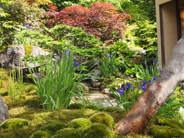 2016年にゴールドメダルを受賞した作品。立体的な庭で緑と紅葉のコントラストが印象的（写真提供/石原和幸デザイン研究所）