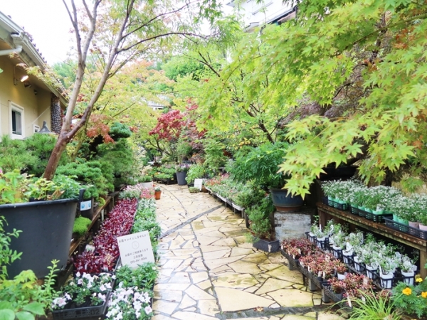 庭園内では苗その他ガーデニング好きの人ならうれしい品が多数売られている（筆者撮影）