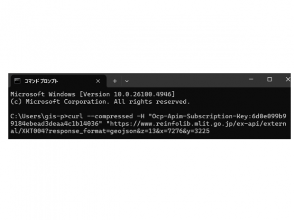 図4_リクエストヘッダとAPIキー