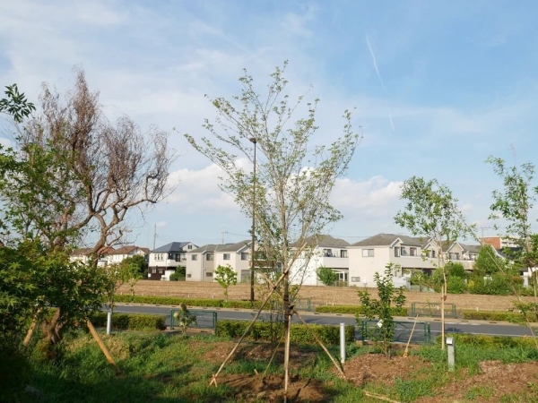 レストランから望む、住宅予定地