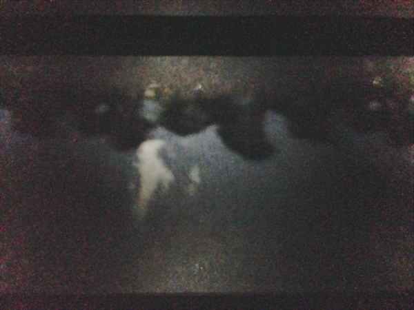 これは子どもは楽しいに違いない（イラスト：宮沢洋）