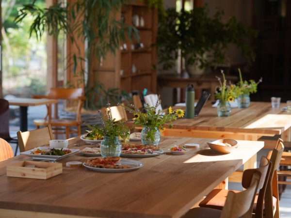 「la tavola felice di fillippo」のエントランスを豊かな緑と花々が囲っている