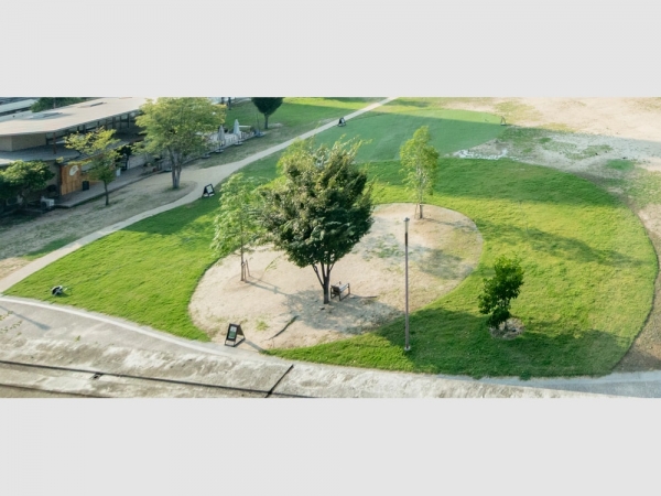 まなびの館ローズコムから見た福山市中央公園の芝生の社会実験の様子。手前側が天然芝ゾーン、奥側が人工芝ゾーン