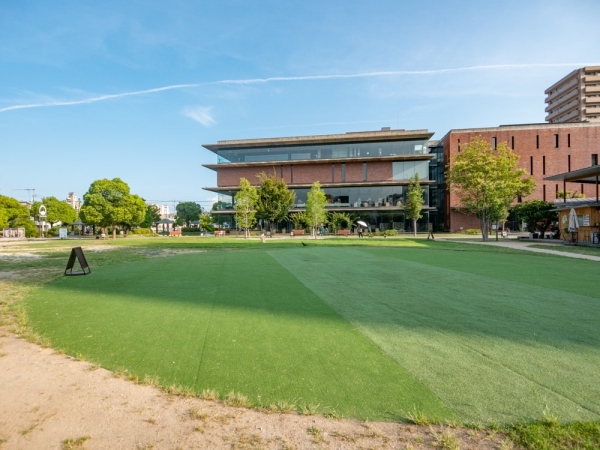 まなびの館ローズコムから見た福山市中央公園の芝生の社会実験の様子。手前側が天然芝ゾーン、奥側が人工芝ゾーン