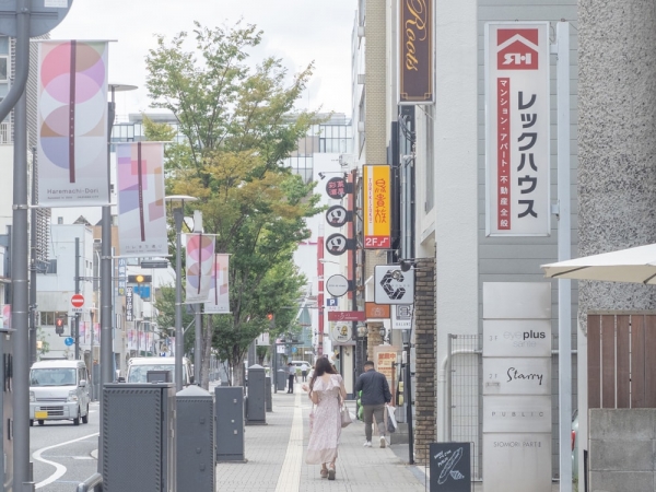 街路樹と街灯が一直線に配置されていることで、開放感のある雰囲気に