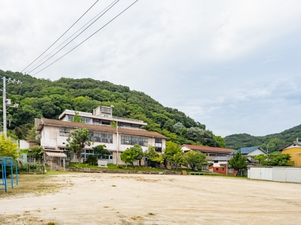 海の校舎の外観と校庭。校舎は南から北へ3棟が並び、幼稚園舎も併設。海沿いの傾斜地に立地しているため、3棟の校舎は南側の1舎から北側の3舎へ次第に高くなる構造になっている