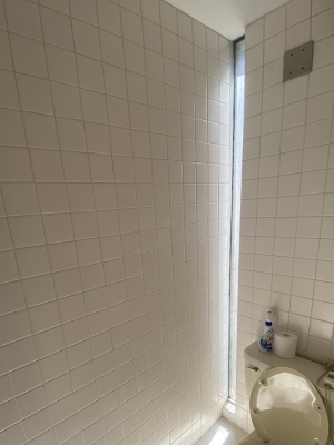 2階の開閉窓から顔を出して別の開閉窓を見る。ガラスブロックの水平部分の先端に雨水の排水経路があるのがわかる（写真：宮沢洋）