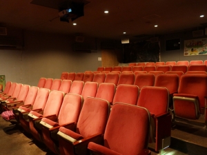 赤い柔らかそうな客席が並ぶ。こぢんまりした、のんびり見られそうな場所である（筆者撮影）