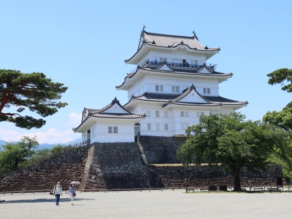 城下町として、宿場町として栄えてきた小田原市（筆者撮影）