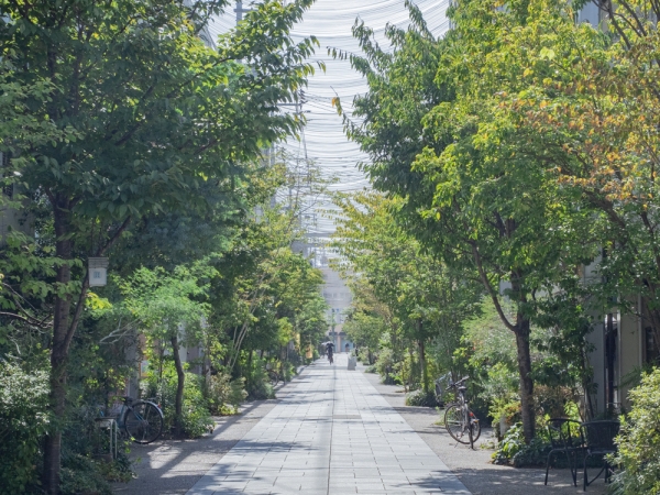 本通商店街と本通船町商店街は、アーケード改修や植樹などでリニューアルし、緑あふれる明るい雰囲気の「とおり町 Street Garden」に生まれ変わった