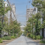 福山市 とおり町 Street Garden：本通商店街の様子