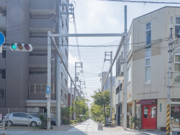 アーケード改修前の本通商店街の北口（2008年 ライター撮影）