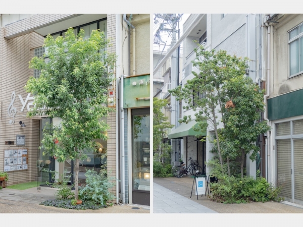 アーケード改修前の本通商店街の北口（2008年 ライター撮影）