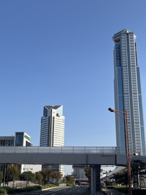 大阪府咲洲庁舎「さきしまコスモタワー」（右側のビル）