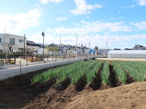 不動産価格指数（令和７年９月分）