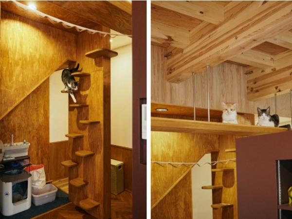 新築住宅をリノベーション、自分らしく猫と暮らす住まいに。細かい部分の使い勝手がよく考えられている「猫と私の『Purrfect Meow-zy』」
