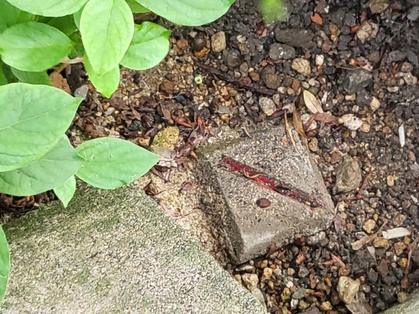 境界標と境界標を結ぶラインが、見えない土地境界